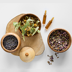 Image of Sleep-Enhancing Botanicals